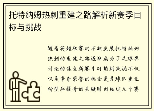 托特纳姆热刺重建之路解析新赛季目标与挑战
